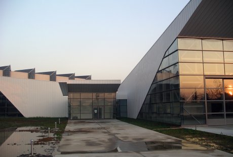 IMGP0137.jpg